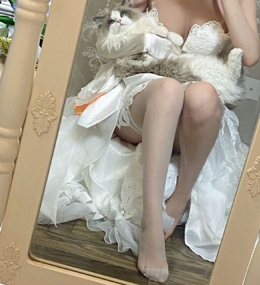 斗罗大陆2免费看