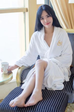 机械女警