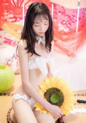 理论片免费看